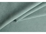 magnetica
