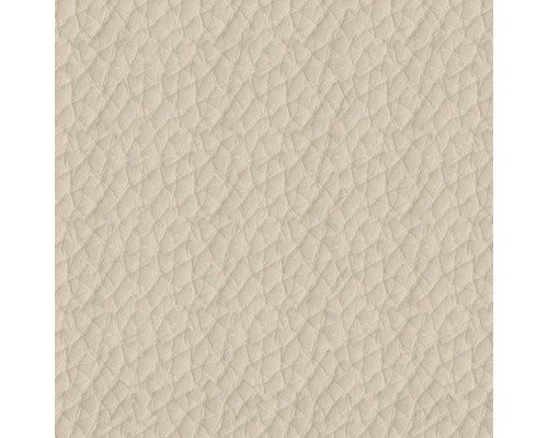 Искусственная Кожа Hermes 283 (Tapioca) (Светло-бежевый)