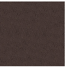 Искусственная Кожа Alfa 2303 10 (Marron)