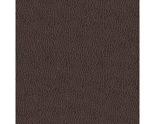 Искусственная Кожа Alfa 2303 10 (Marron)