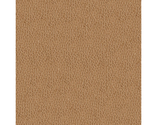 Искусственная Кожа Alfa 2303 14 (Caramello)