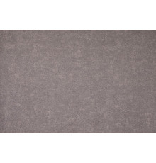 Микровелюр Dream 04 (Hazel Wood)