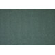 Микровелюр Dream 09 (Emerald)