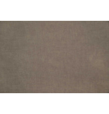 Микровелюр Marino 06 (Latte)