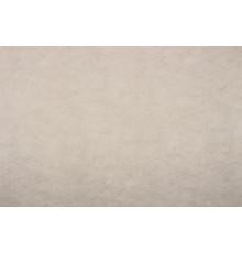 Искусственная Замша Vertus 01 (Bone)