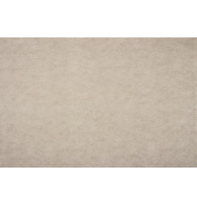 Искусственная Замша Vertus 02 (Beige)