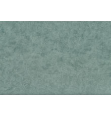 Велюр Camel 26 (Mint)